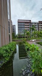 Pasir Ris 8 (D18), Apartment #475791261